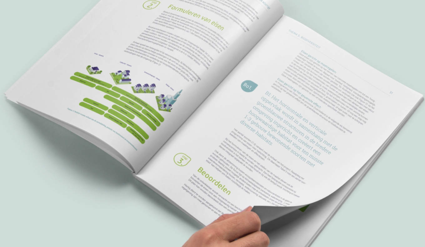 BouwAdaptief_leidraad-1 Eerste deel infographic groene daken in Nederland